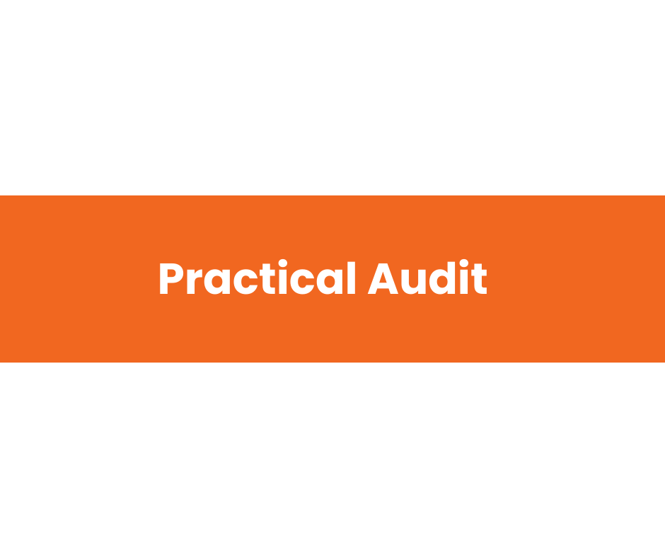 Practical Audit